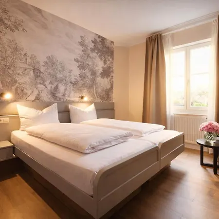 Boutiquehotel Drei Ringe - Rheinfelden Hotell Schwörstadt