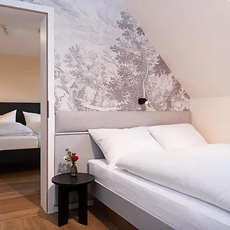 Boutiquehotel Drei Ringe - Rheinfelden * Schwörstadt