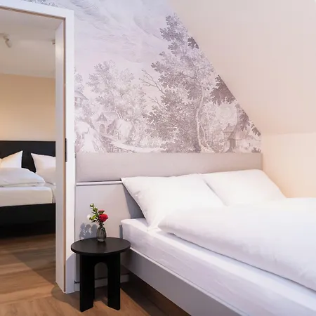 Szálloda Boutiquehotel Drei Ringe - Rheinfelden *